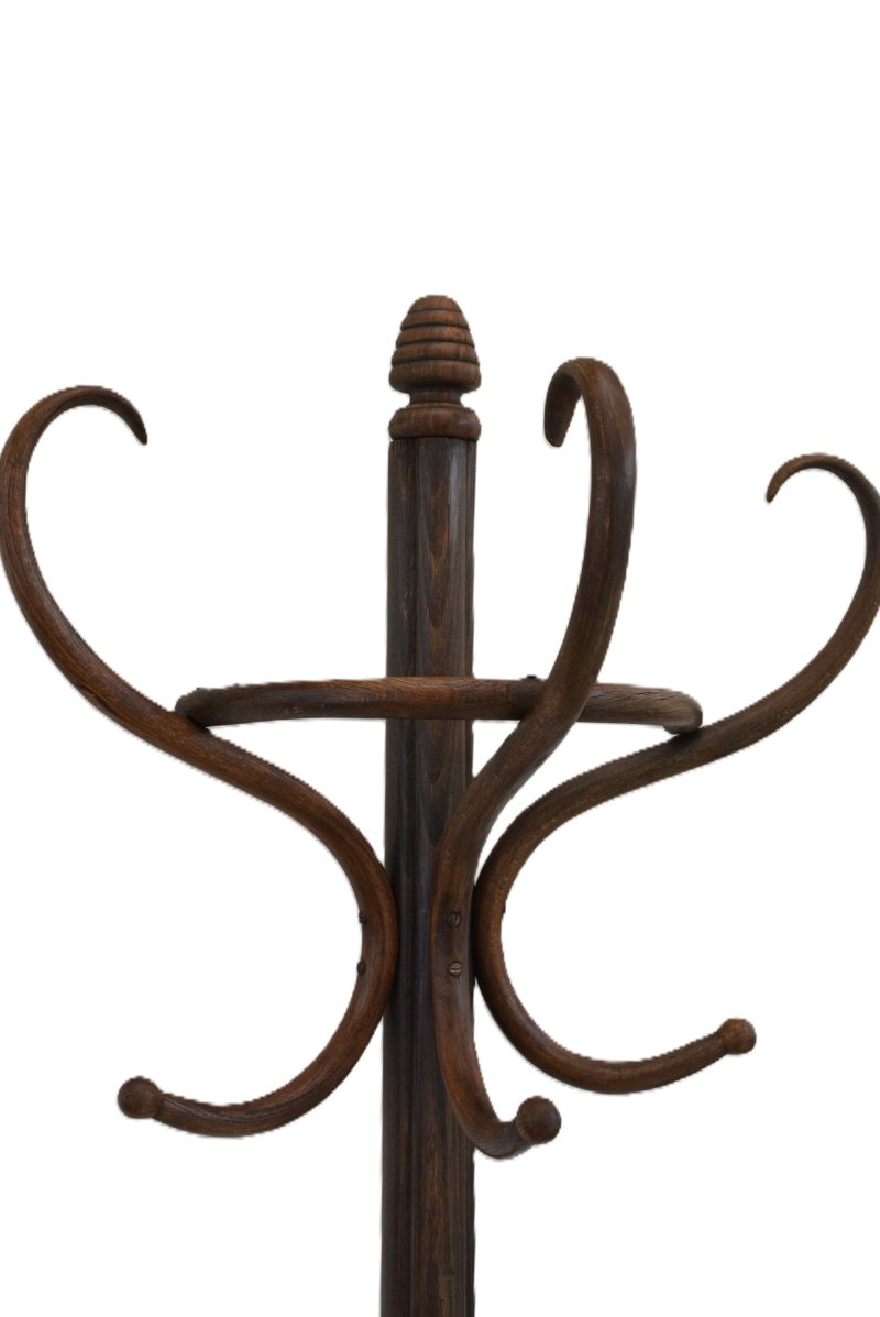 Antique Bentwood Coat Stand, Half Round Design Hall Stand, C1900, Thonet Style - Image 4